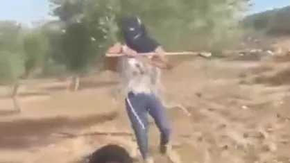 حمله شهرک&zwnj;نشین صهیونیست به یک زن فلسطینی