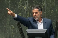 مجلس عصاره فضایل ملت است نه شورای نگهبان/ماده ۷۹ حق نماینده است