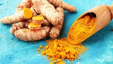 چگونه اثر درمانی زردچوبه با فناوری‌نانو و میکروسوزن بیشتر شد؟