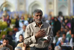 دبب
