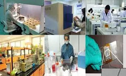 کارگاه تربیتی &laquo;سفیران اقتصاد مقاومتی&raquo; در دانشگاه فردوسی مشهد برگزار می&zwnj;شود