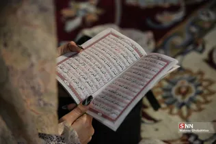 دبب