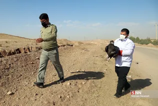 رهاسازی ۹ قطعه پرنده شکاری و آبزی در تالاب بهشت معصومه