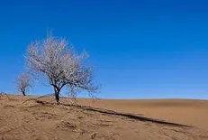 ۹ گردشگر گرفتار در کویر بشرویه نجات یافتند