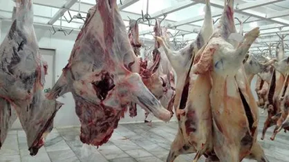 اعزام ۵ ناظر شرعی به برزیل برای نظارت بر واردات گوشت