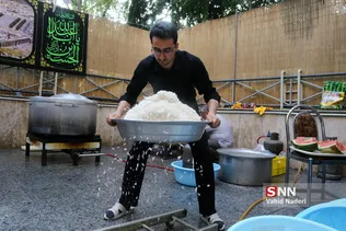 تربیت مدرس