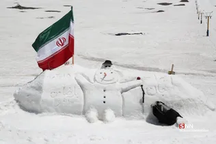 دبب