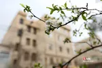 چند قدم مانده تا بهار