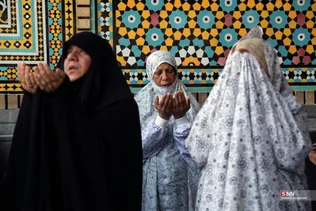 فطر