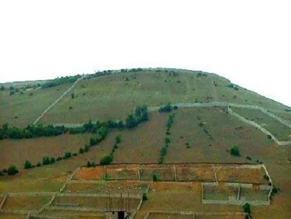 هشدار جدی به متخلفان زمین&zwnj;خواری در ایام عید/ مردم تخریب و تغییر کاربری زمین&zwnj;های کشاورزی را به ۱۳۱ اطلاع دهند