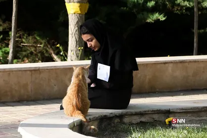 نوبت اول آزمون سراسری سال ۱۴۰۴ در دانشگاه علامه طباطبائی
