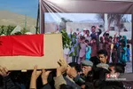 تشیع شهید جهادی