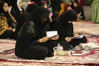 دبب