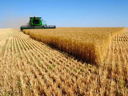 فناوری&zwnj;های نوین کشاورزی پایدار در کنفرانس بین&zwnj;المللی دانشگاه آزاد بررسی می&zwnj;شود