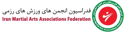 سرپرست فدراسیون رزمی دچار سانحه شد