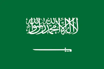 بازداشت ۲۵۰ مقام دولتی در عربستان