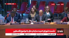 نماینده پاکستان: آتش بس در غزه از جانب اسرائیل مکررا نقض می‌شود / نماینده فلسطین: هیچ دردی بالاتر از این نیست که مردم ما را حیوان خطاب کردند + فیلم