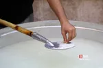 تربیت مدرس