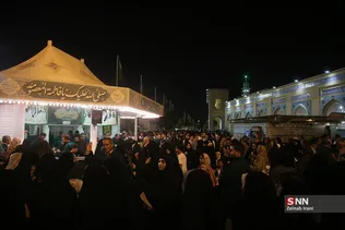 دبب