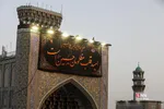 صضثضصثصض