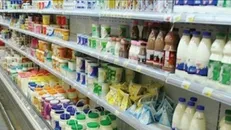 تلاش مافیای لبنیات برای خروج ۳ هزار میلیارد از کشور