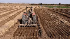 بازگشت ۷۰ هزار هکتار زمین در زنجان به مردم