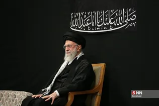 دبب