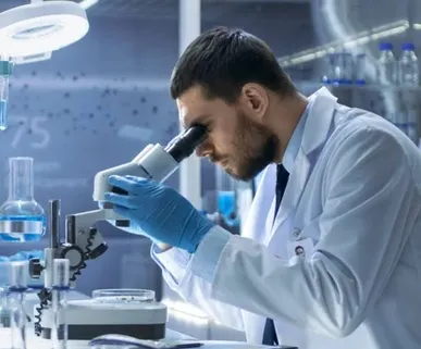 کپسول گیاهی نانویی برای کمک به کنترل آرتروز، کبد چرب و بیماری‌های التهابی تولید شد