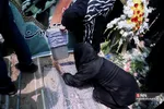 دبب