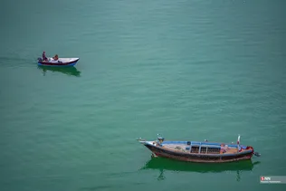 بریس