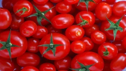 بازار گوجه فرنگی به زودی متعادل می&zwnj;شود