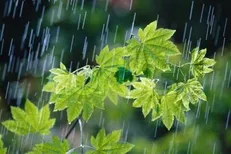 رگبار باران در نقاط مختلف کشور/ تجربه دمای ۵۰ درجه در اهواز