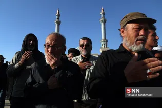 تشیع