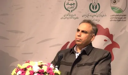 تامین سوخت و برق از مهم&zwnj;ترین چالش&zwnj;های صنعت مرغداری است