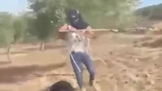 حمله شهرک‌نشین صهیونیست به یک زن فلسطینی