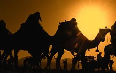 واکنش امام حسین (ع) به شنیدن نام کربلا + فیلم