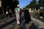 فطر