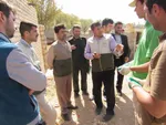 یاسوج