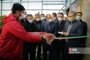 کشاورزی