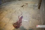 در پی حمله تروریستی دو مهاجم مسلح به حرم مطهر شاهچراغ که تعدادی از زائران و مجاوران مجروح شده یا به شهادت رسیده اند و داعش مسئولیت این حمله را بر عهده گرفت.