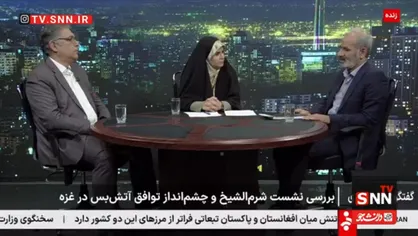 زارعی:  جنگ در غزه به حالت سابق برنمی&zwnj;گردد/ ابوالفتح: تا حقوق فلسطینیان تامین نشود مشکلی حل نمی&zwnj;شود + فیلم