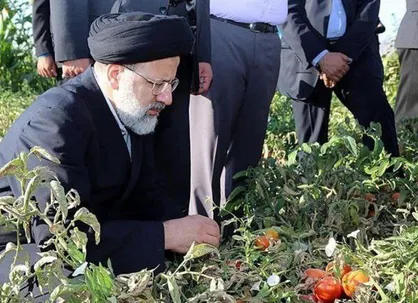 دستاورد سفر رئیس جمهور شهید به همدان/۲۰۸۸ میلیارد تومان اعتبار بخش کشاورزی تصویب شد
