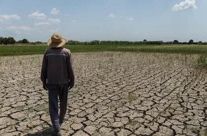 کشاورزی سنتی جواب نمی&zwnj;دهد / البرز در آستانه بحران