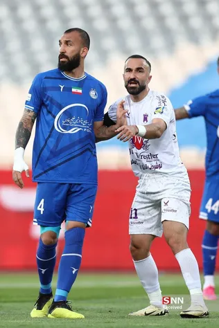 دبب