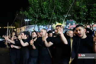 دبب