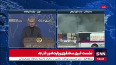 بقایی: مهدیه اسفندیاری و شاهین حزامی، شهروندان ایرانی بازداشت شده در فرانسه مرتکب هیچ جرمی نشدند