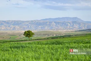 بهار