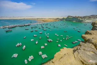 بریس
