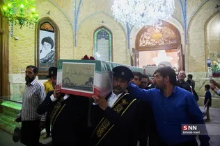 دبب