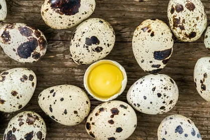 خواص بی&zwnj;نظیر تخم بلدرچین